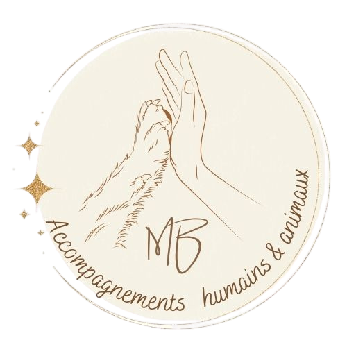 design sans titre (4)