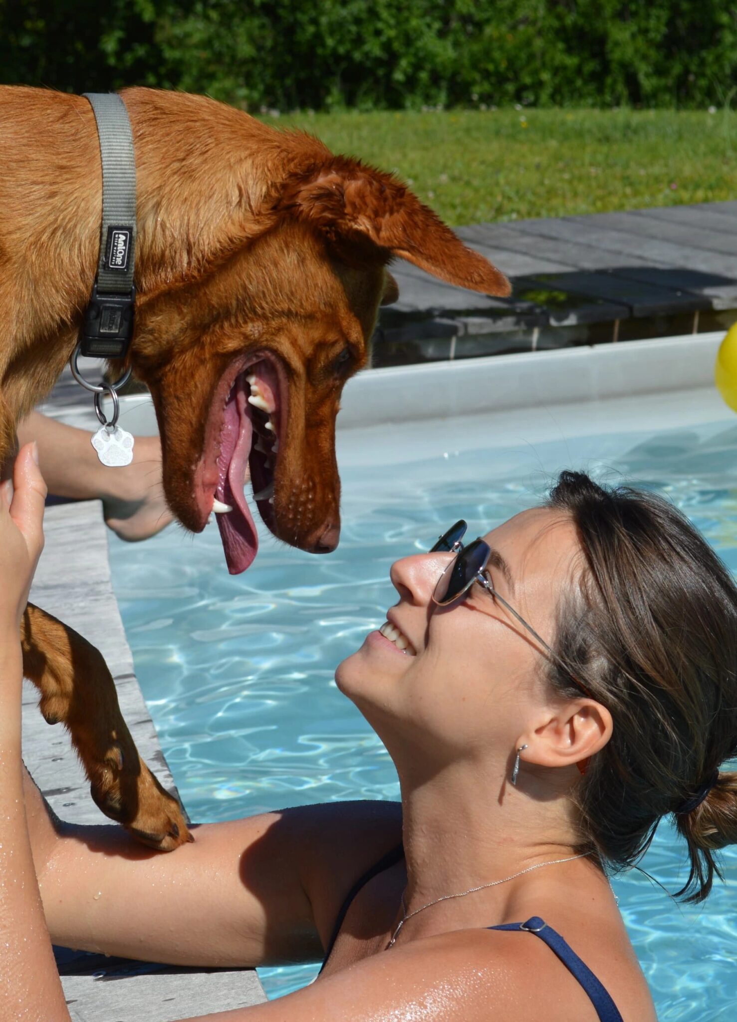 Mylèna Bouchardy, sophrologue et praticienne en magnétisme et communication animale dans l'Ain, Savoie et Haute-Savoie, accompagnant humains et animaux vers le bien-être et l’équilibre intérieur.