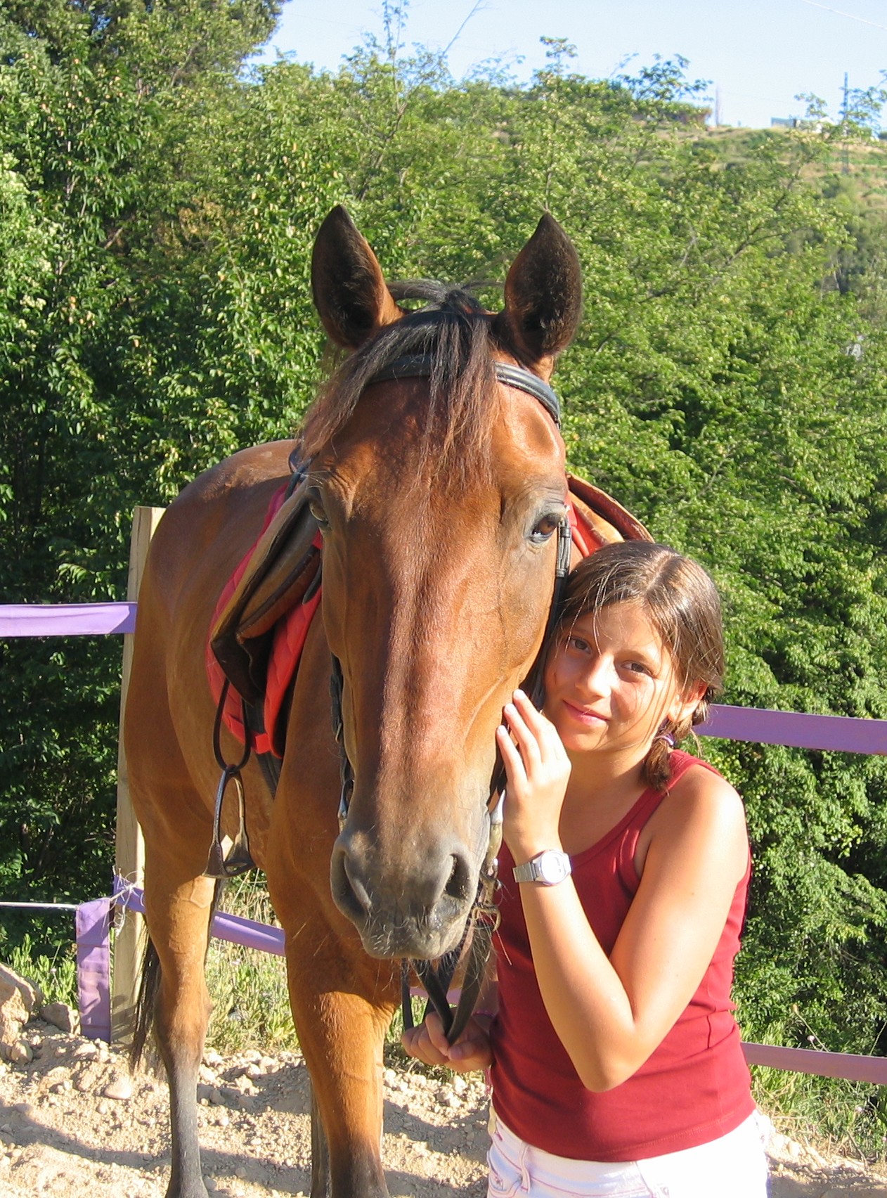 Mylèna Bouchardy – Communication animale, sophrologie et magnétisme