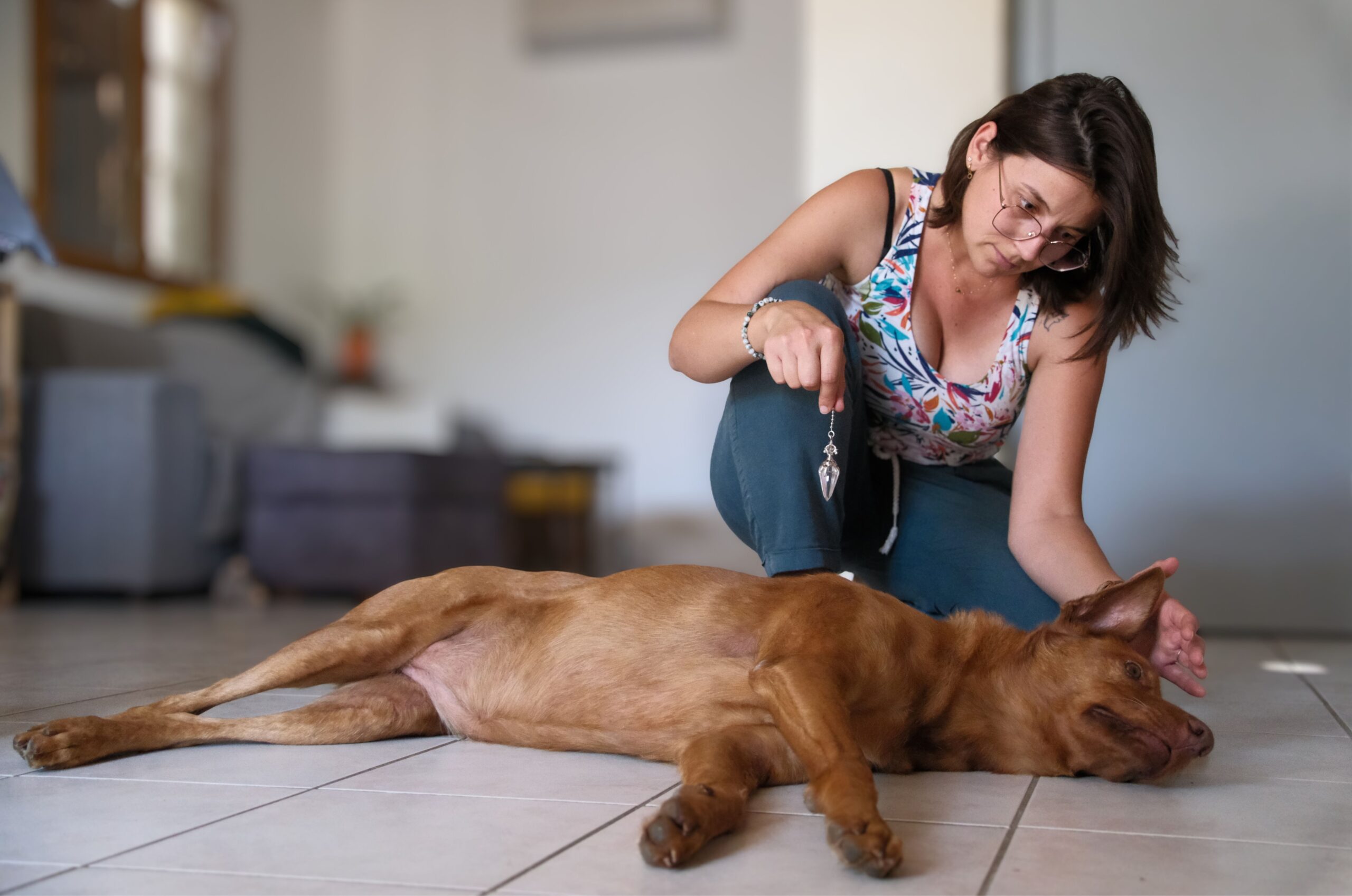 Séance de magnétisme animal à distance