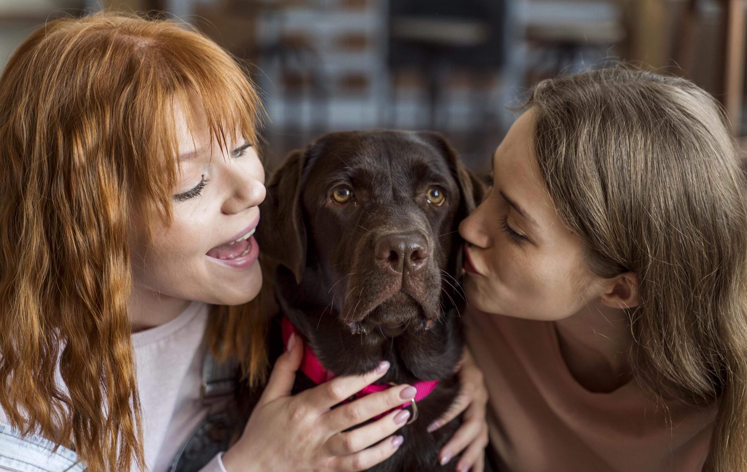 Actualités Mieux comprendre son animal