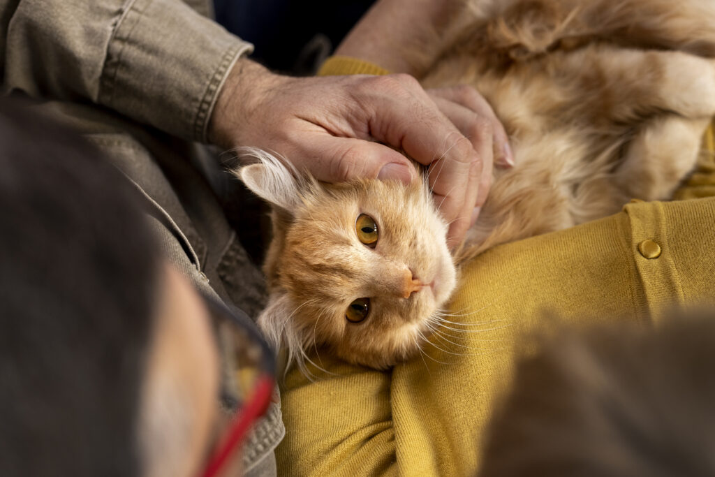 personne agee avec chat