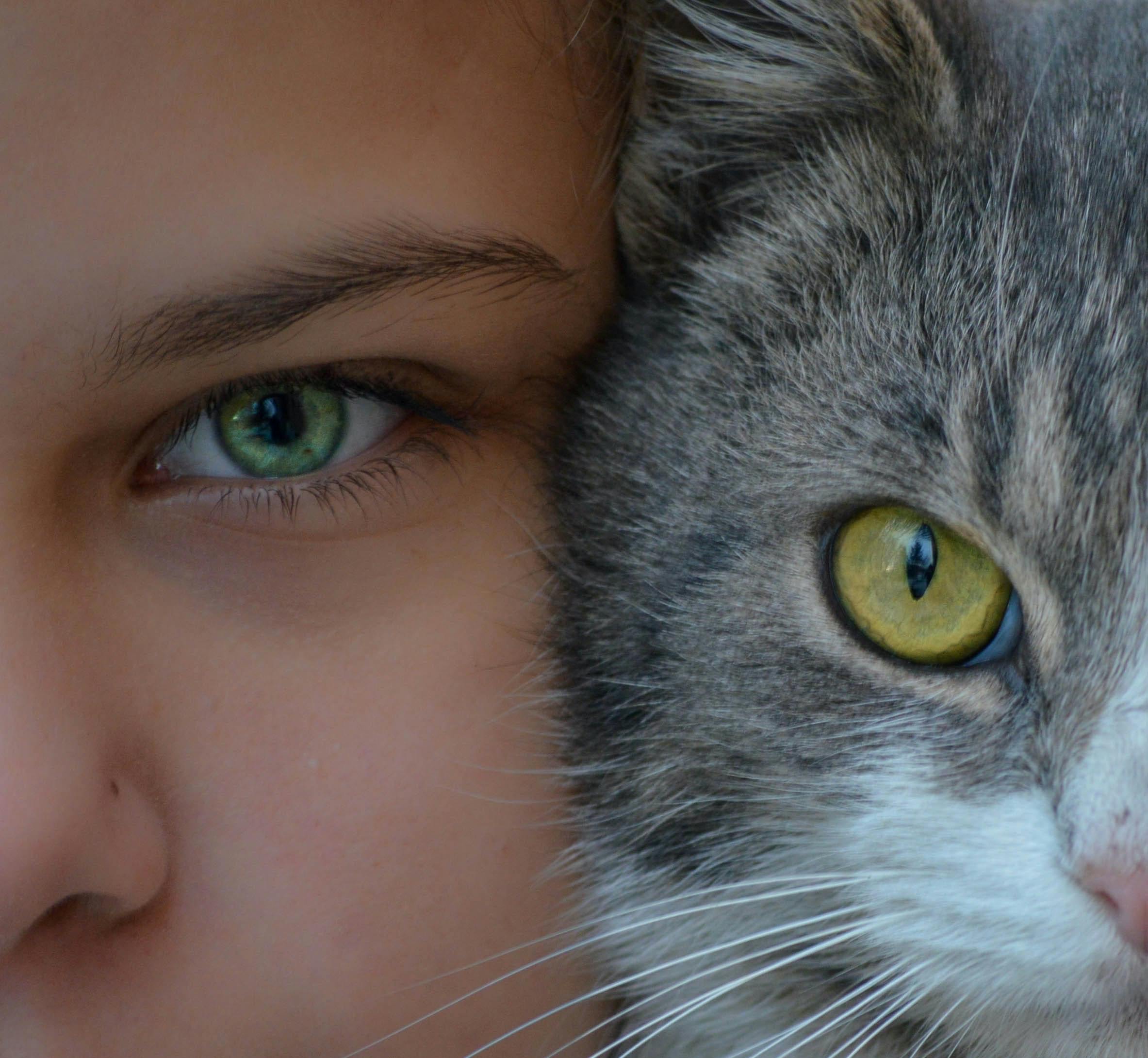 Intimate close-up of a girl and her cat in Cluj-Napoca, capturing the bond between human and pet.
